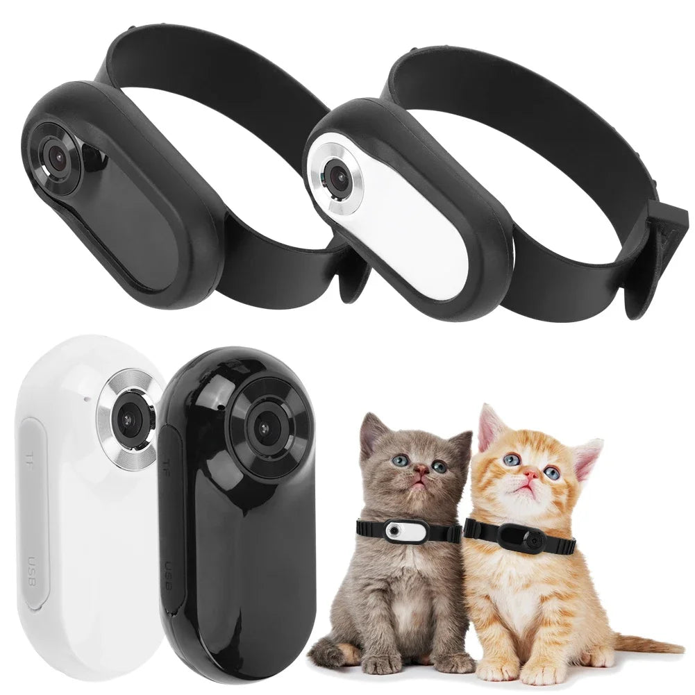 Mini camerahalsband voor honden en katten - Immersive Vision & HD