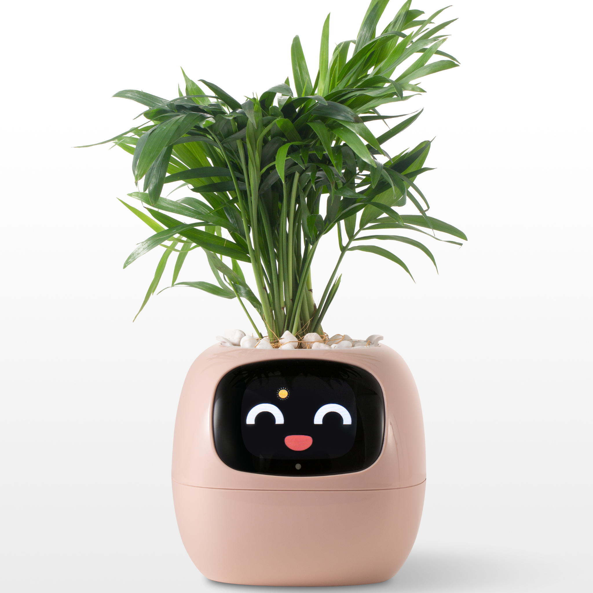 Emoji Ghiveci de Flori – Decorațiune Originală și Amuzantă