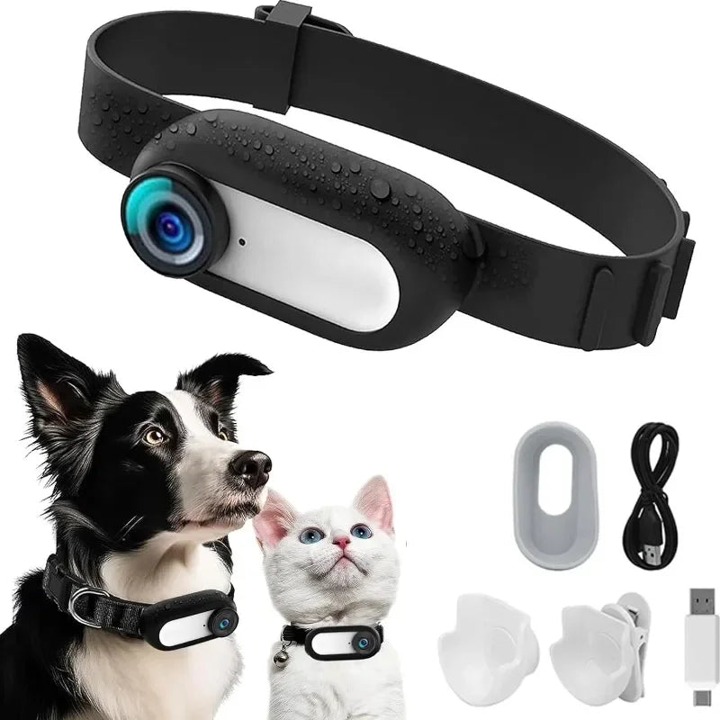 Mini camerahalsband voor honden en katten - Immersive Vision & HD