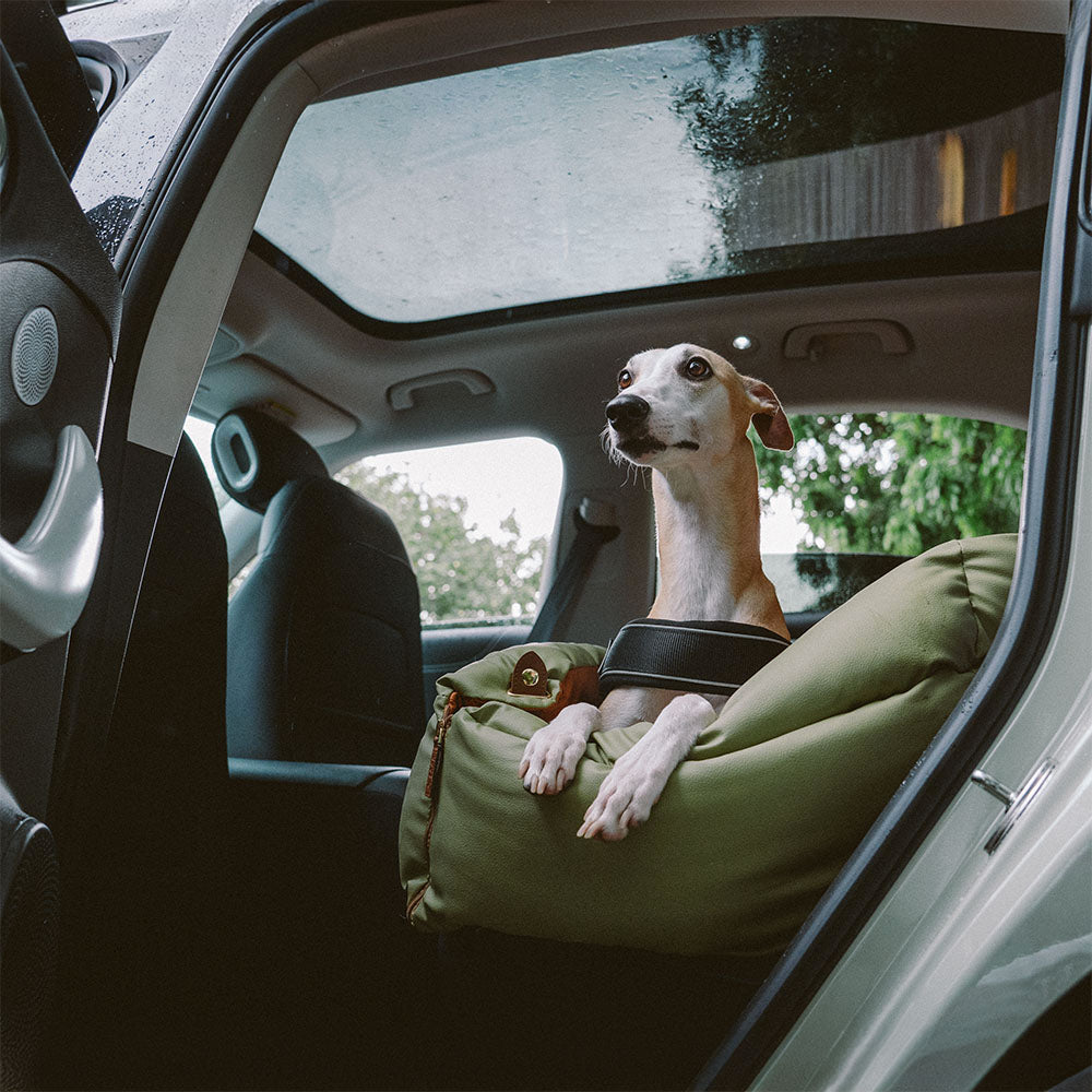Bilsete for hund – Komfort og beskyttelse