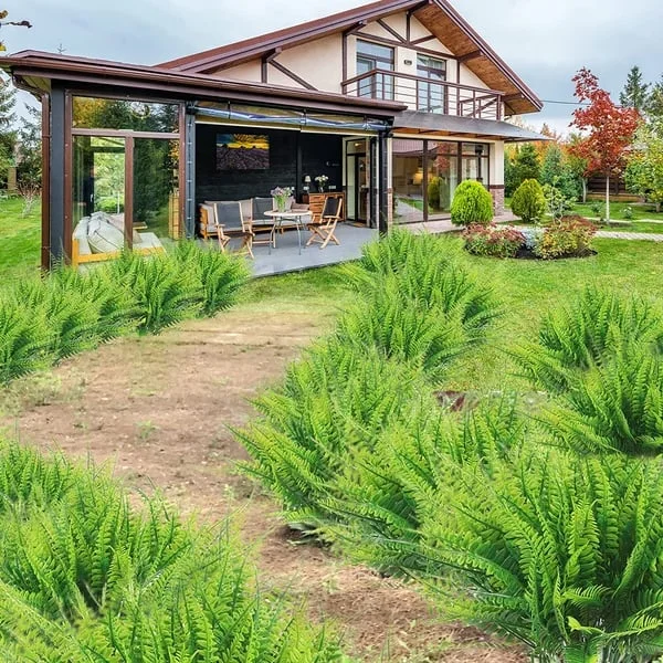 人工的な装飾用シダ – リアルな見た目と長持ち