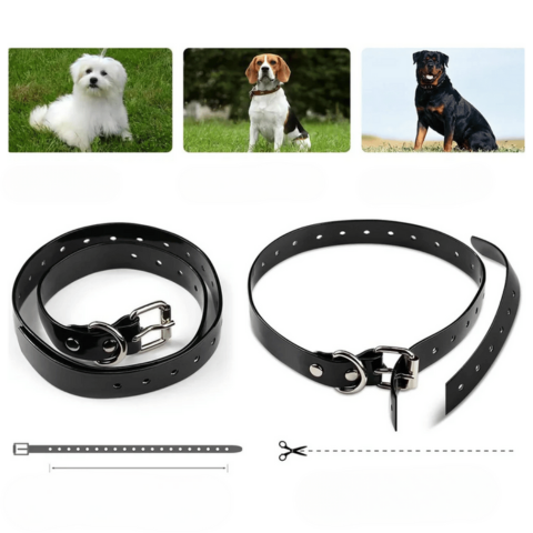 طوق تدريب عن بُعد – مدى 800 م، مقاوم للماء وقابل للشحن