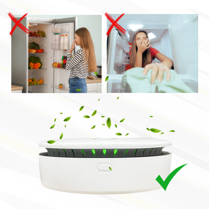 ポータブルオゾン発生器 – 効果的な浄化と持ち運びが簡単