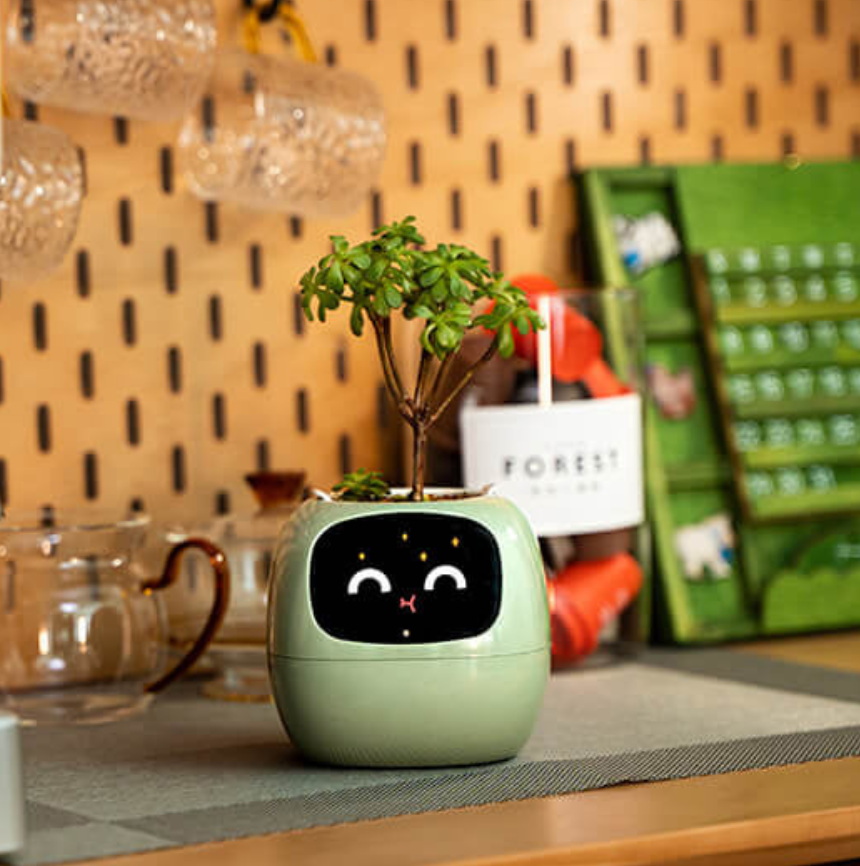 Emoji Ghiveci de Flori – Decorațiune Originală și Amuzantă