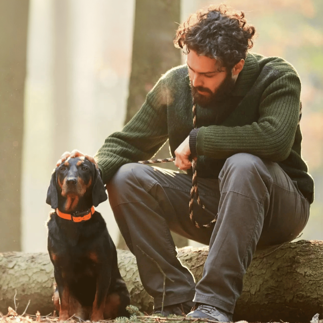 קולר אילוף מרחוק – דיוק וטווח אופטימלי