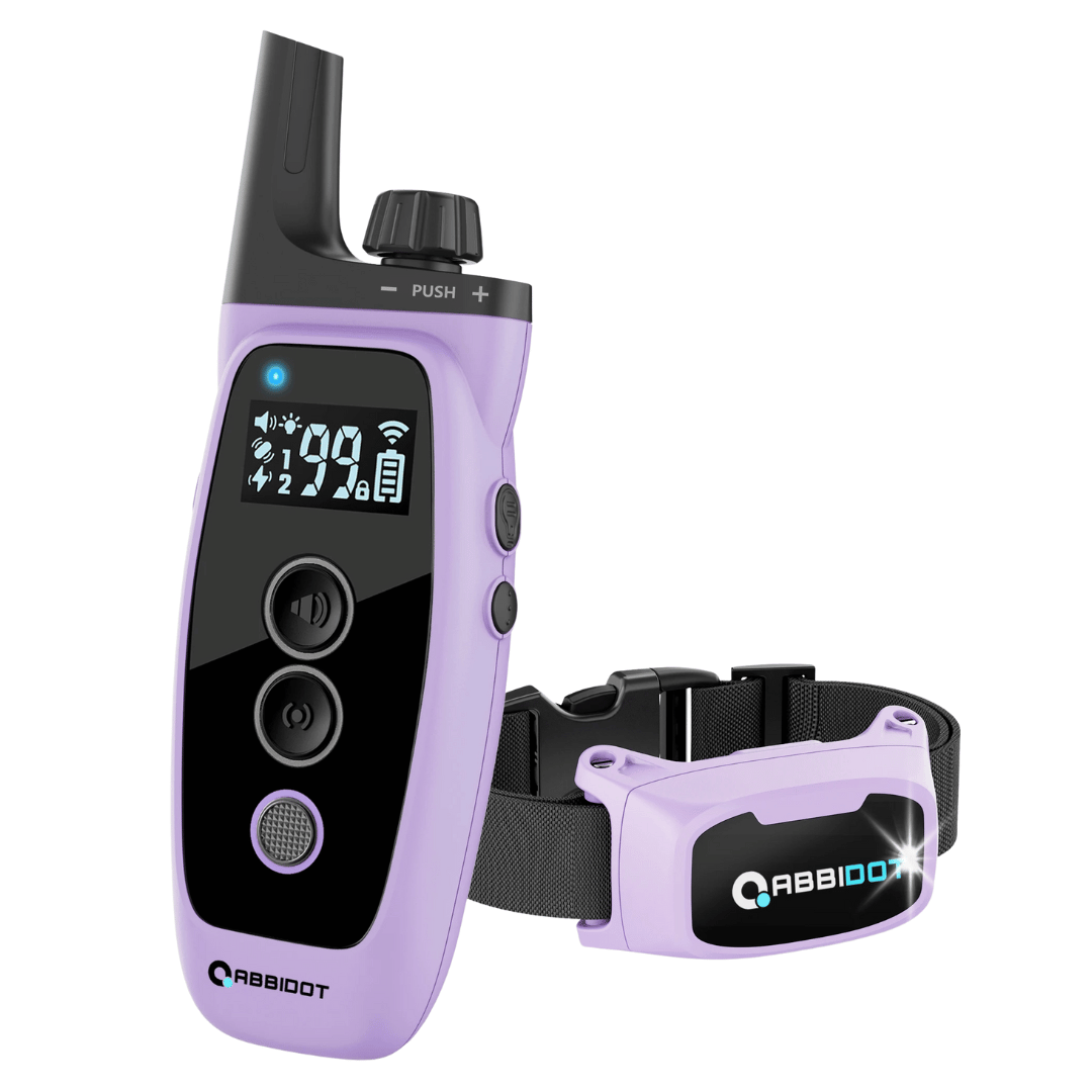 Karma dla psa – Pilot z LED i zasięg 1000 m