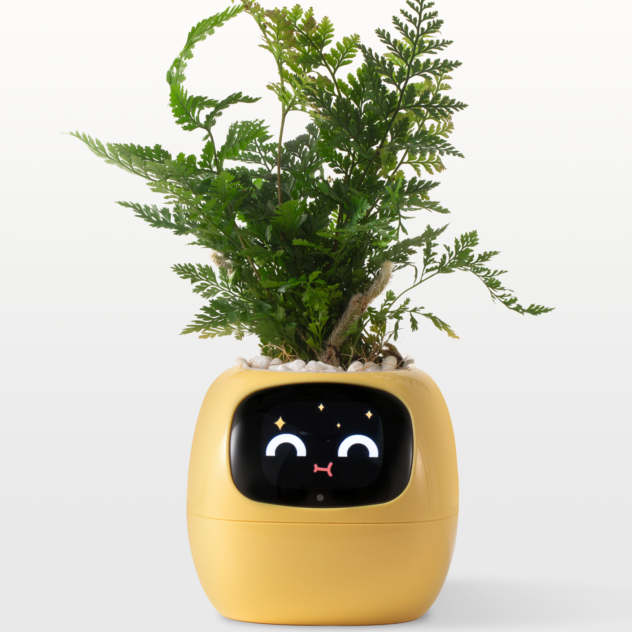 Emoji Ghiveci de Flori – Decorațiune Originală și Amuzantă