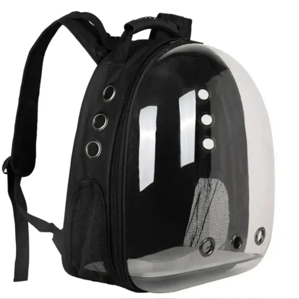 Bubble Backpack for Cats – Comfort and Safety While Traveling