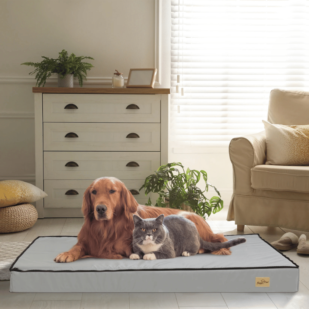 Comfortable Dog Bed – Ideal for Rest and Recovery
