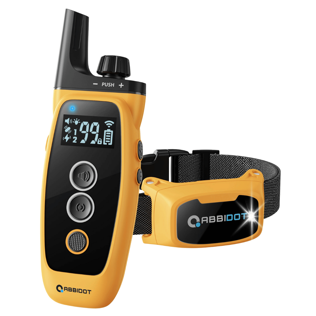 Karma dla psa – Pilot z LED i zasięg 1000 m