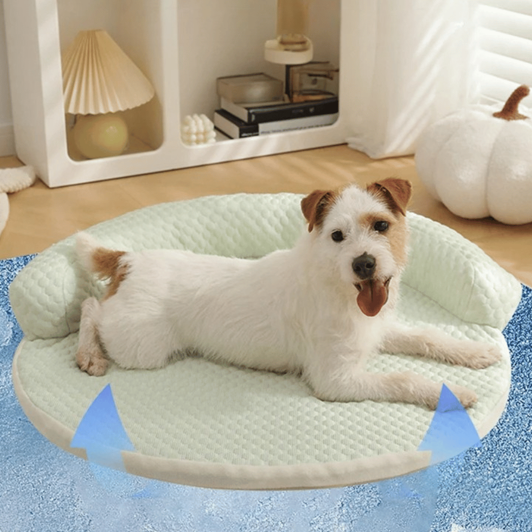 Okrągły Chłodzący Dywan – Z Podwyższoną Strefą Wypoczynku 