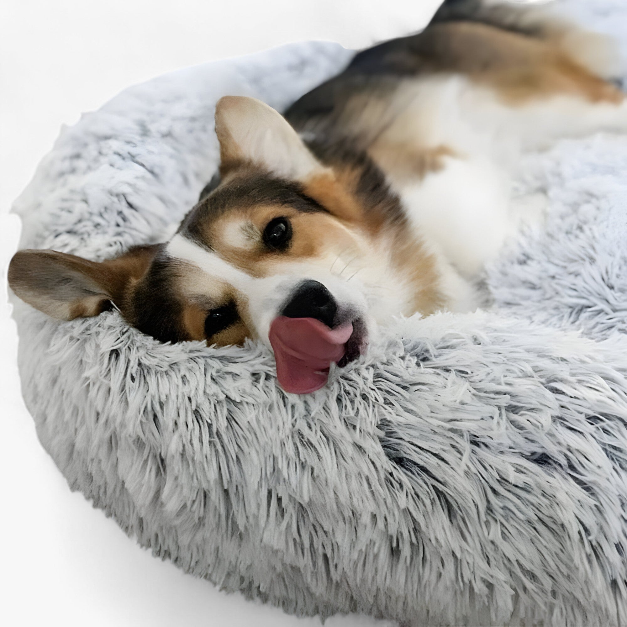 Lit Apaisant Pour Animaux – Confort Douillet Et Sommeil Réparateur