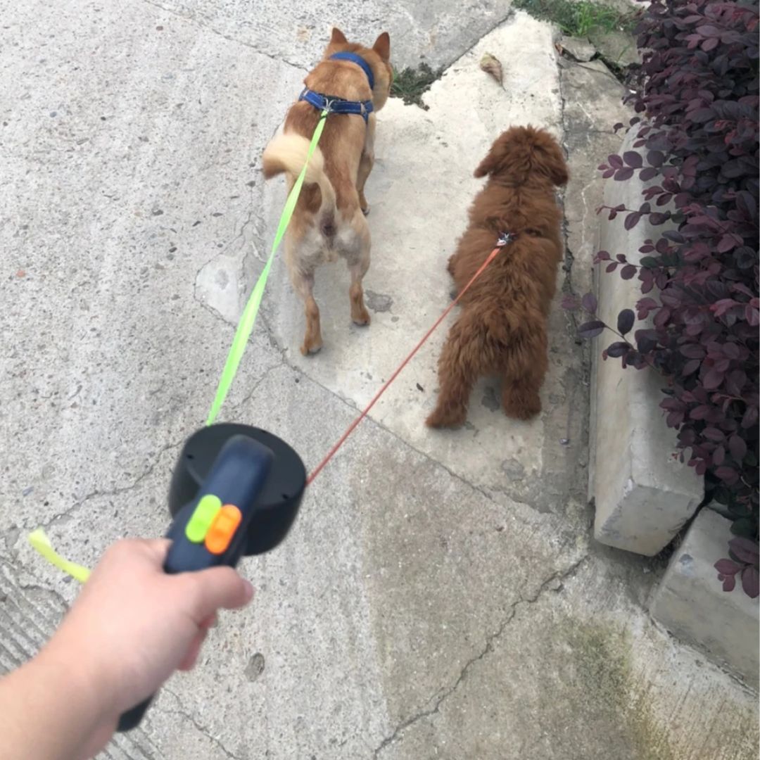 Låt Dubbel Återvinningsbar För Hundar – Med LED-lampa Och Påse Dispenser 
