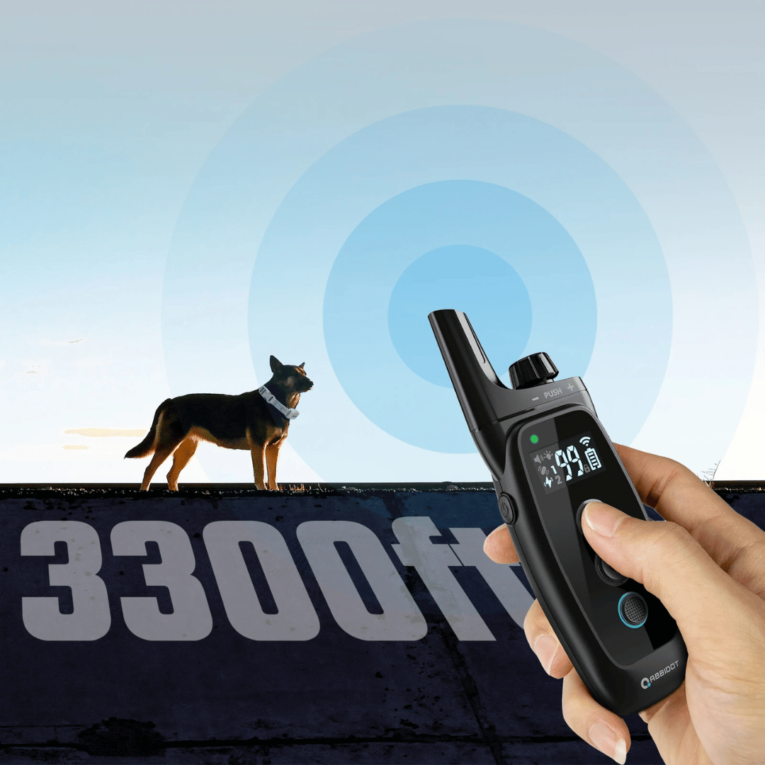 Karma dla psa – Pilot z LED i zasięg 1000 m 