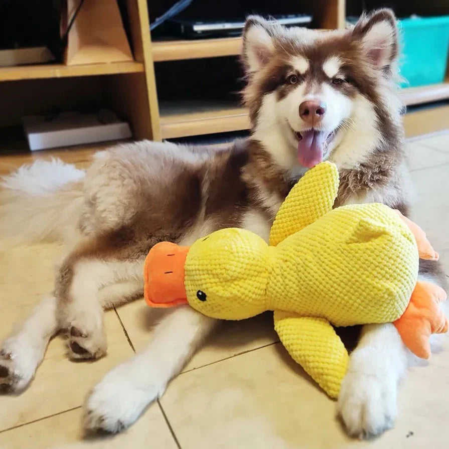 Juguete Patito Relajante Para Perros – Compañero De Juego Y De Relajación 