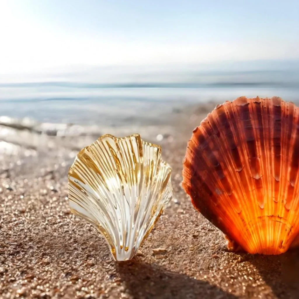 مصباح حائط على شكل صدف – إضاءة أنيقة وبحرية 