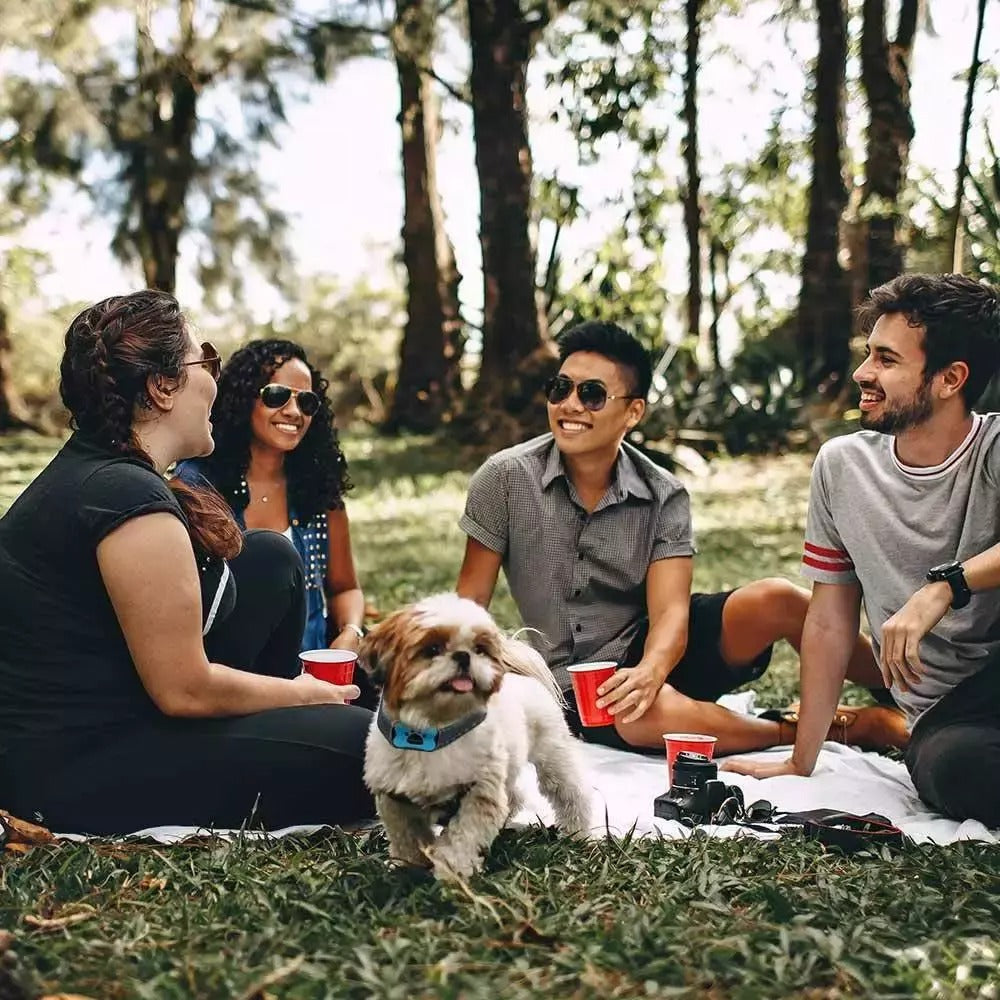 Anti-Bark Collar for Dogs — Gentle and Effective Training 