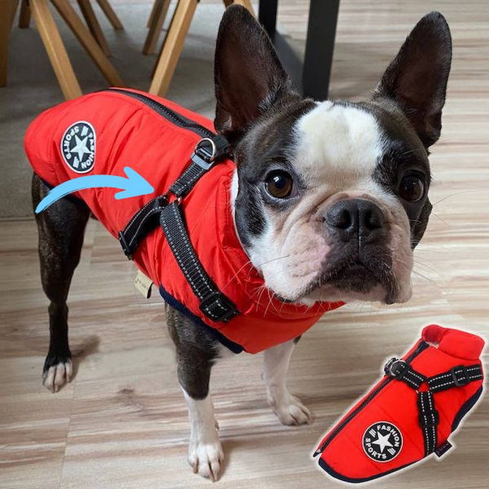 Vattentät Hundjacka - Skydd & Stil 