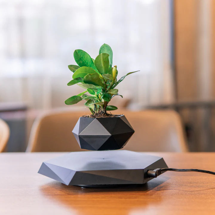 Maceta levitante: ¡Elegancia y tecnología para tus plantas! 