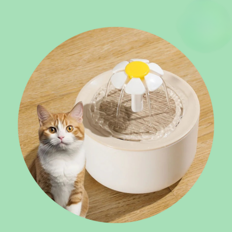 Fântână cu apă pentru pisici — Hidratare continuă și apă mereu proaspătă 