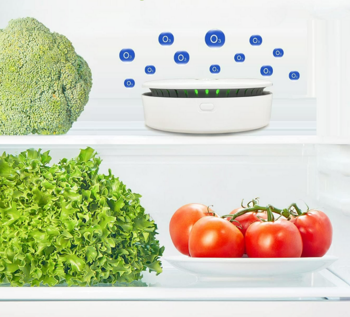 Portable Ozone Generator – Effective Purification and Easy to Transport 