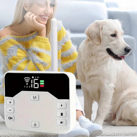 Clôture Sans Fil Avec Collier De Dressage – Sécurité Et Éducation Pour Chien