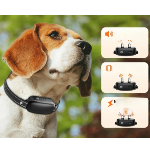 Obroża szkoleniowa z pilotem – Skuteczna edukacja 