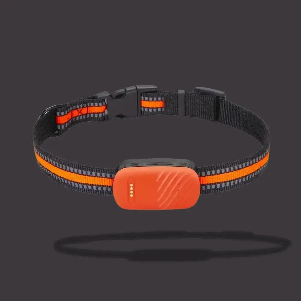 GPS Sporingshalsbånd til Kat – Lokalisering og Daglig Komfort 