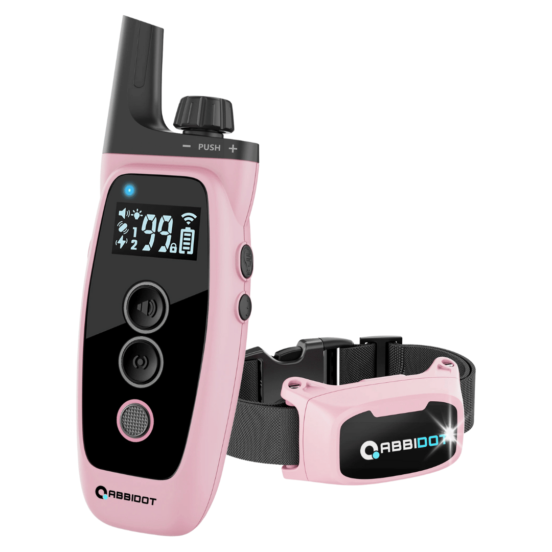 Karma dla psa – Pilot z LED i zasięg 1000 m 