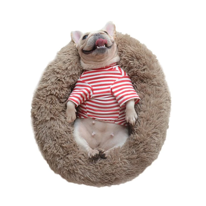 Mysig Säng För Djur — Optimal Komfort Och Avkopplande Vila 