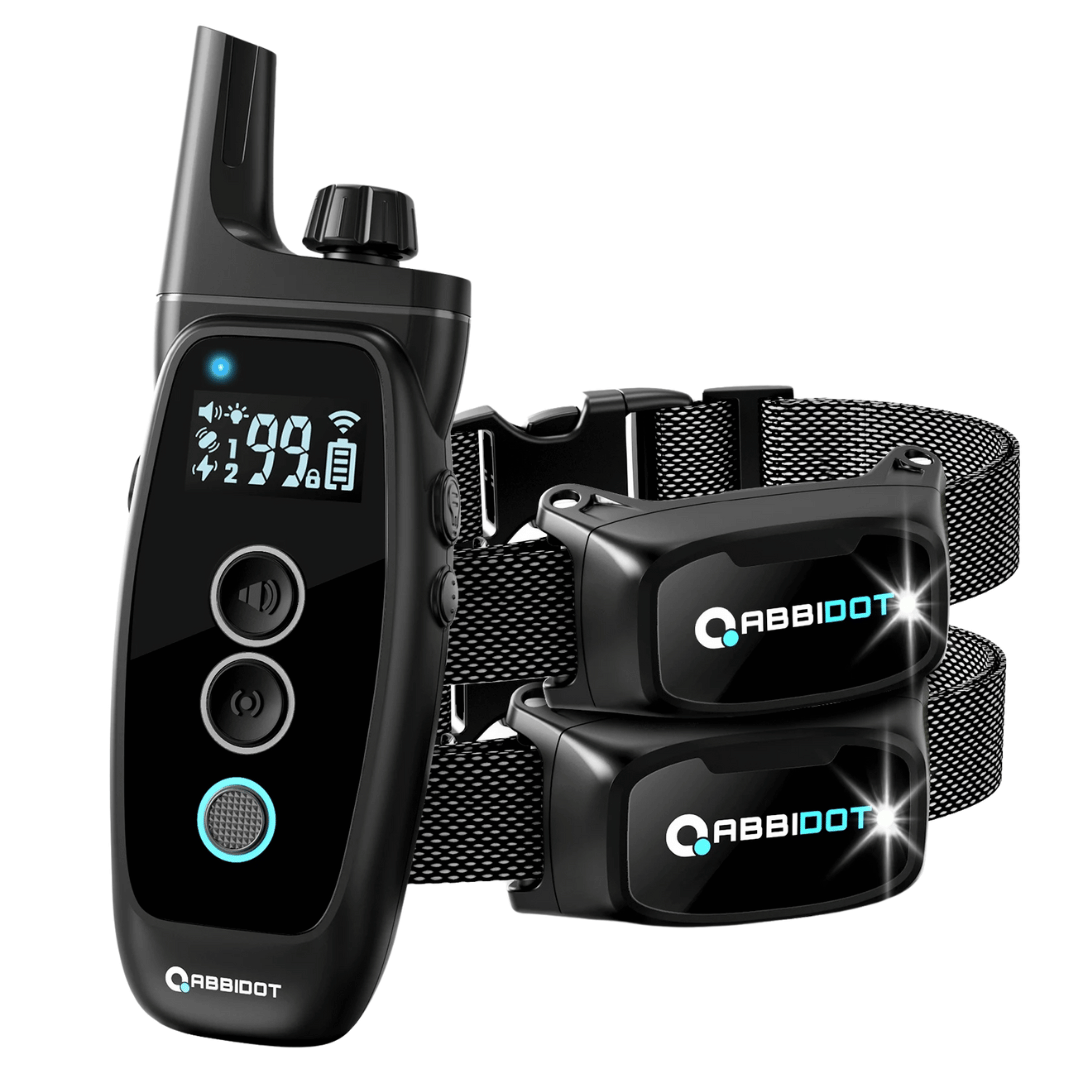 Karma dla psa – Pilot z LED i zasięg 1000 m 