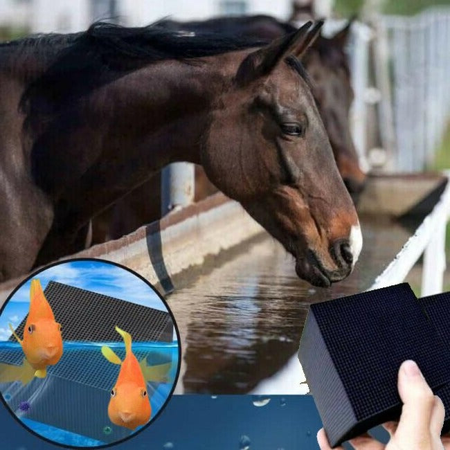 Cubo Purificador De Agua Para Animales – Agua Clara Y Saludable A Diario 