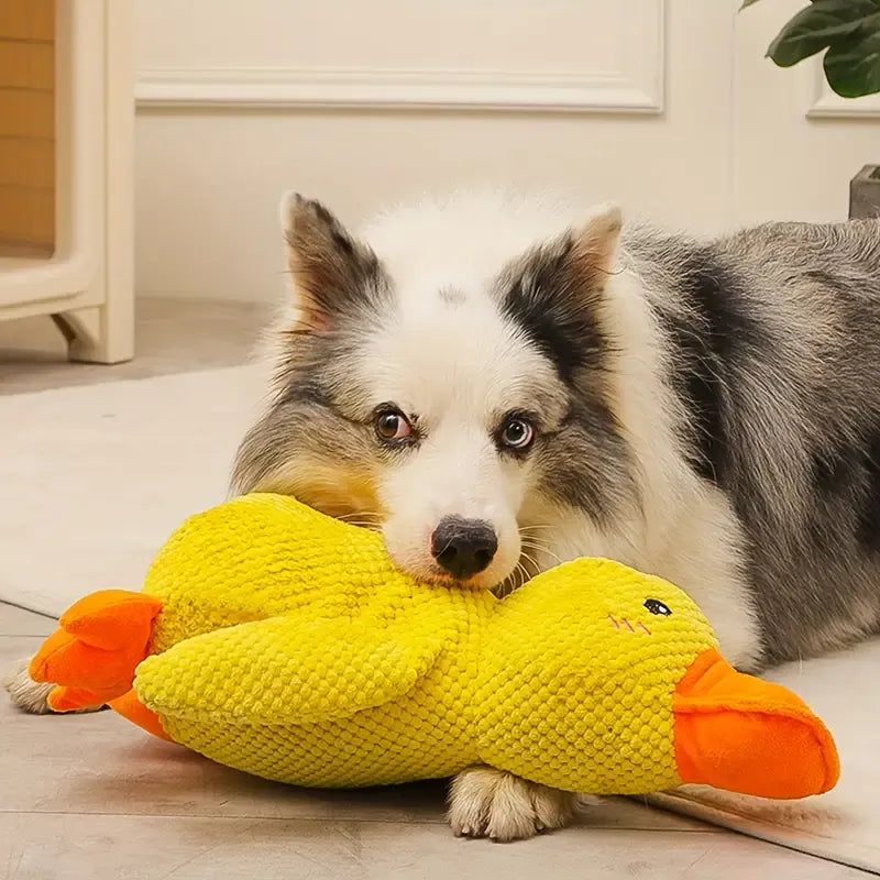 Juguete Patito Relajante Para Perros – Compañero De Juego Y De Relajación 